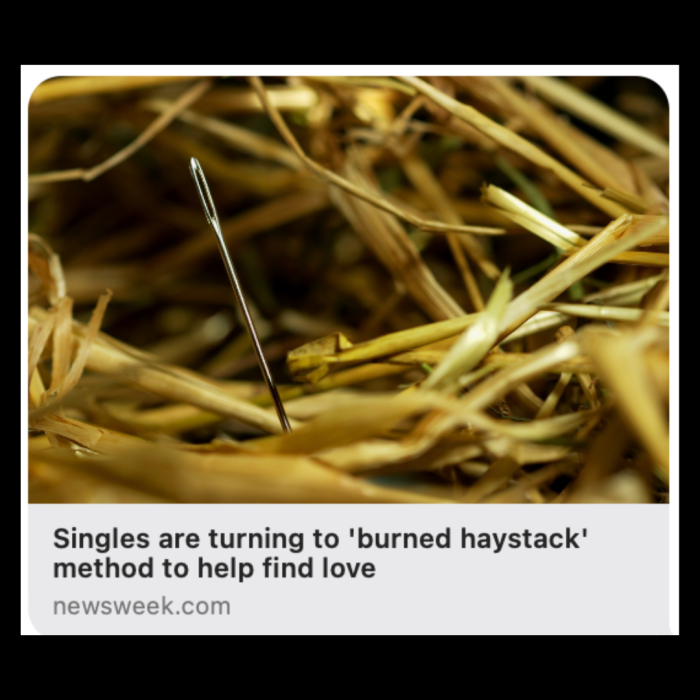 Newsweek Burned Haystack Dating 